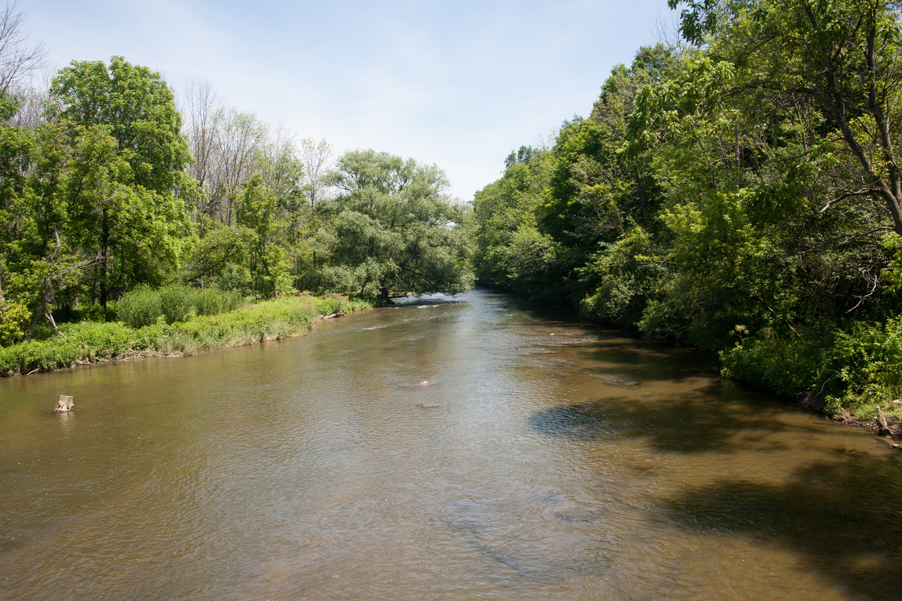 Photo of a river